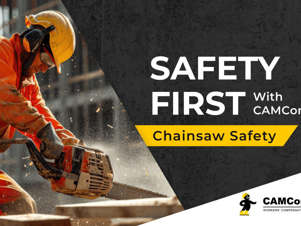 Chainsaw Safety: A Guide for Lawn and Landscaping Professionals