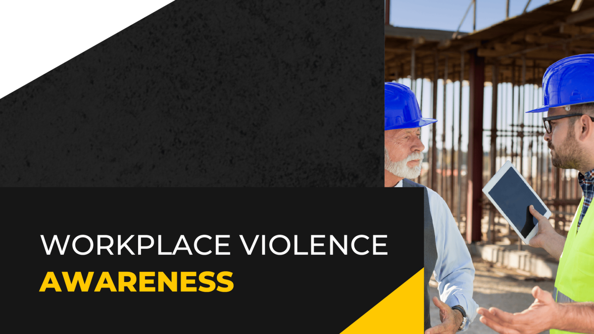 Safer Workplaces: Preventing Violence and Bullying