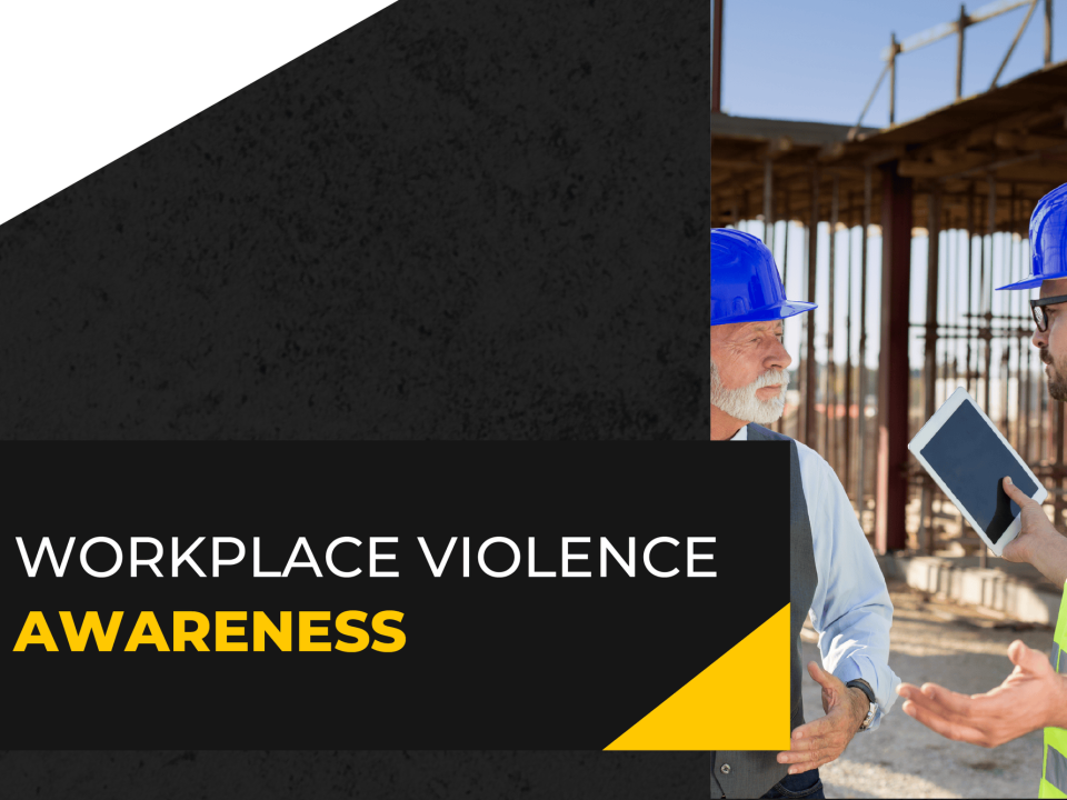 Safer Workplaces: Preventing Violence and Bullying